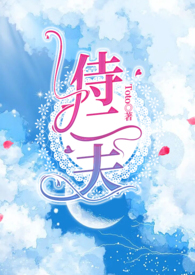 侍二夫陆宁小说最新章节内容